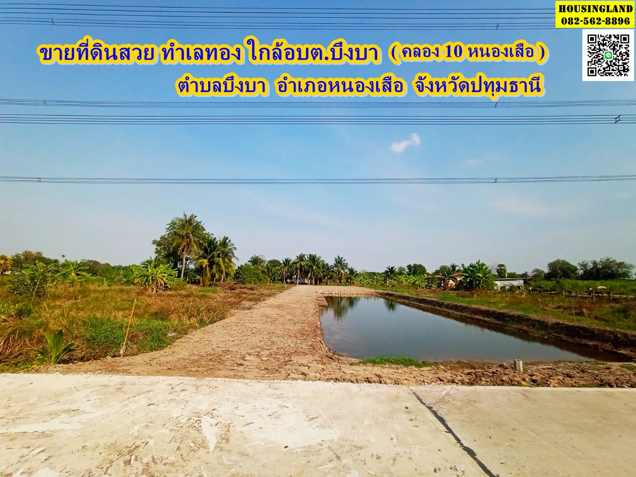 ขายที่ดินสวย ทำเลทอง ใกล้อบต.บึงบา ( คลอง 10 หนองเสือ ) ตำบลบึงบา อำเภอหนองเสือ จังหวัดปทุมธานี